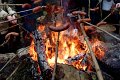 rajd_barborkowy_2011-179