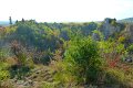 rajd_PTSM_2011-177