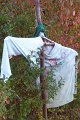 rajd_PTSM_2011-46