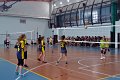 siatkoa_dz_powiat-96