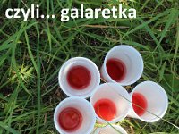straszna gra terenowa dla klas III-360
