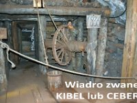 zielona szkola klas II i III 2016-49