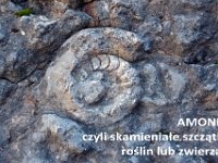 zielona szkola klas II i III 2016-660