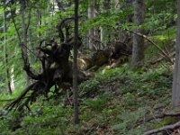 zielona szkola klas II i III 2016-732