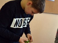 co mozna zrobic z salaty klasa 6a-13