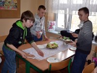 co mozna zrobic z salaty klasa 6b-37