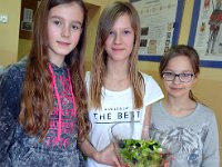 co mozna zrobic z salaty klasa 6b-54