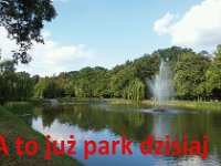 miedzy warszawa a wiedniem gra CIT-36