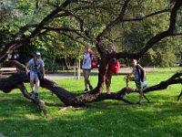 miedzy warszawa a wiedniem gra CIT-39