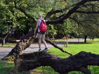 miedzy warszawa a wiedniem gra CIT-41