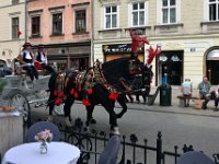 wycieczka klas III do krakowai-53