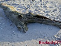 zielona szkola 2017-181