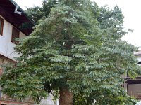 przez gory bulgarii do delty dunaju 2017-148