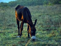 przez gory bulgarii do delty dunaju 2017-194