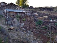 przez gory bulgarii do delty dunaju 2017-195