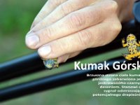 przez gory bulgarii do delty dunaju 2017-196