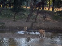 przez gory bulgarii do delty dunaju 2017-207