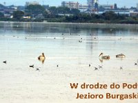 przez gory bulgarii do delty dunaju 2017-209
