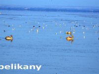 przez gory bulgarii do delty dunaju 2017-210