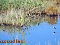 przez gory bulgarii do delty dunaju 2017-217