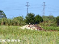 przez gory bulgarii do delty dunaju 2017-218