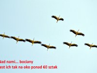 przez gory bulgarii do delty dunaju 2017-224