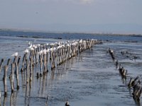 przez gory bulgarii do delty dunaju 2017-264