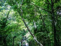 przez gory bulgarii do delty dunaju 2017-294