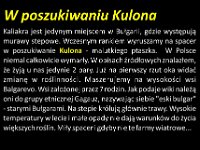 przez gory bulgarii do delty dunaju 2017-314