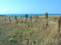 przez gory bulgarii do delty dunaju 2017-322