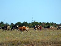 przez gory bulgarii do delty dunaju 2017-325