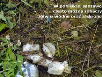 przez gory bulgarii do delty dunaju 2017-356
