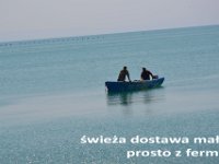 przez gory bulgarii do delty dunaju 2017-357
