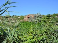 przez gory bulgarii do delty dunaju 2017-367