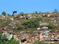 przez gory bulgarii do delty dunaju 2017-425