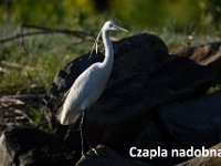 przez gory bulgarii do delty dunaju 2017-434