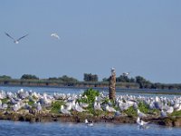 przez gory bulgarii do delty dunaju 2017-445