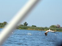 przez gory bulgarii do delty dunaju 2017-447