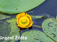 przez gory bulgarii do delty dunaju 2017-455