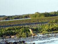 przez gory bulgarii do delty dunaju 2017-473