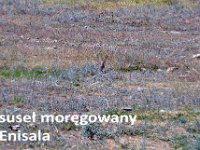 przez gory bulgarii do delty dunaju 2017-538