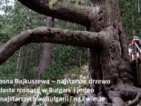 przez gory bulgarii do delty dunaju 2017-83