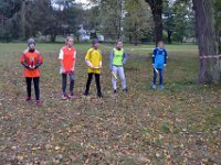 powiatowe zespolowe biegi przelajowe 2017-9