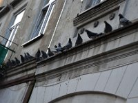 XIII nocne spiewanie 2017-112
