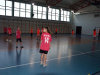 powiatowe zawody w pilke reczna dz i ch-9