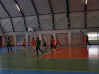 rejonowe zawody w pilke reczna dz i ch--111