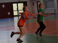 rejonowe zawody w pilke reczna dz i ch--117