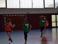 rejonowe zawody w pilke reczna dz i ch--118