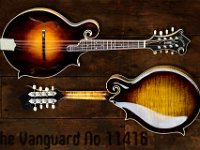 instrumenty strunowe spotkania z muzyka-22  Timeworn Horizontal Wood Floor  P