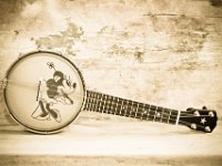 instrumenty strunowe spotkania z muzyka-26